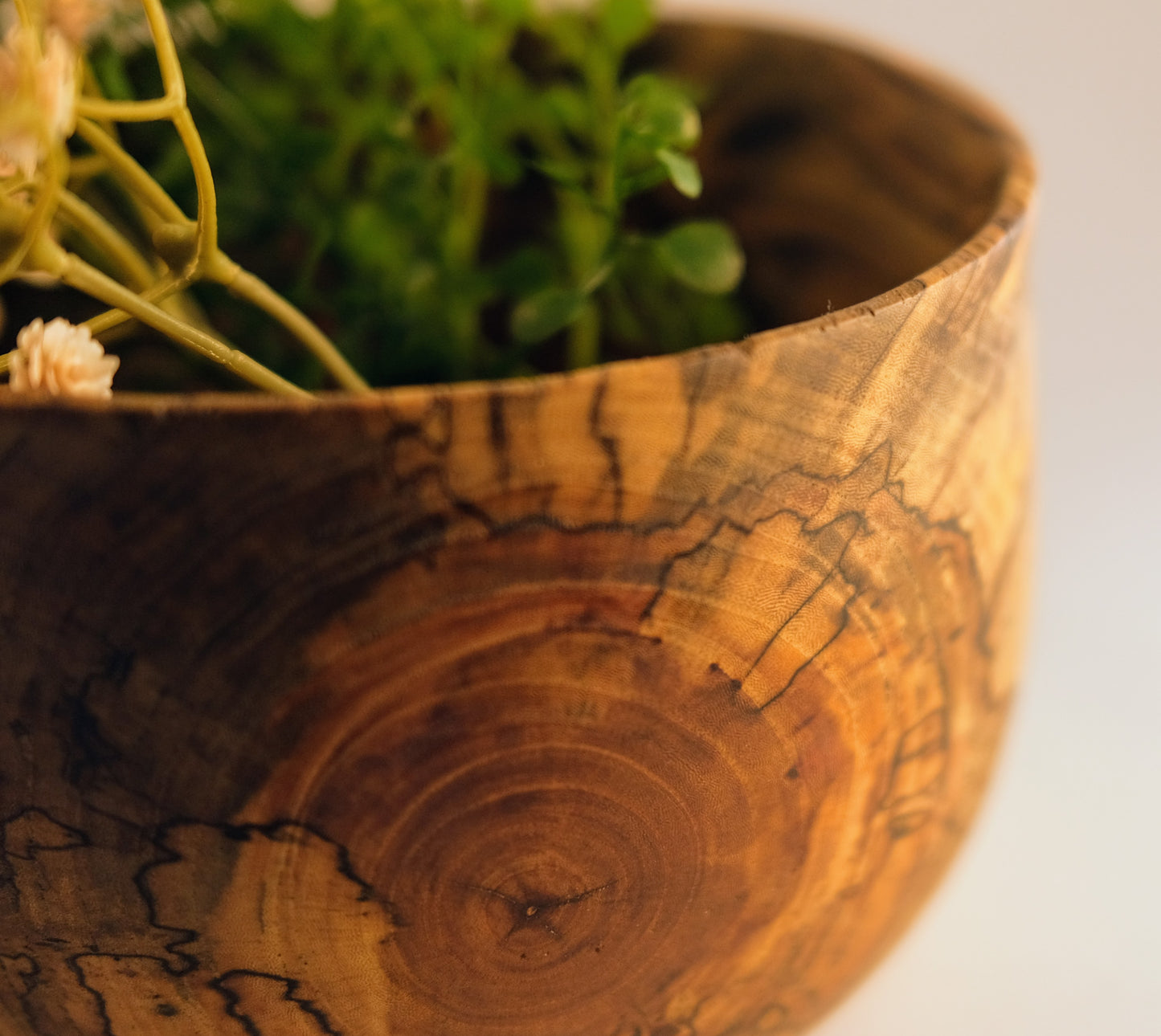 Seymour elm bowl 4
