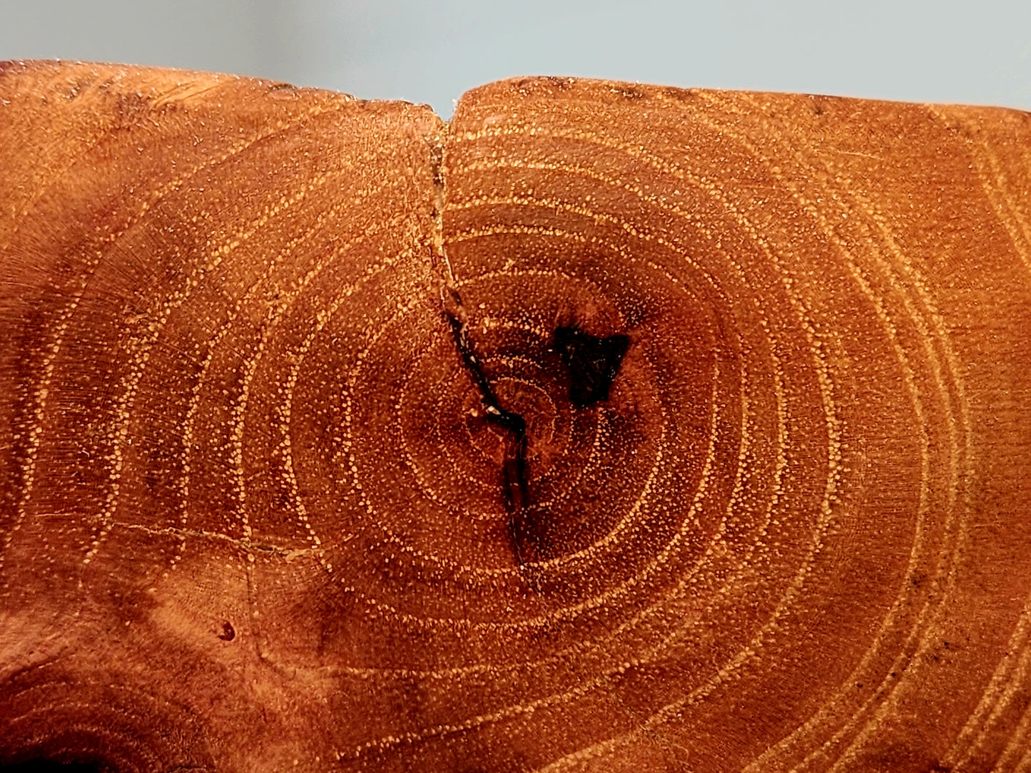 Handmade Elm Table Bowl