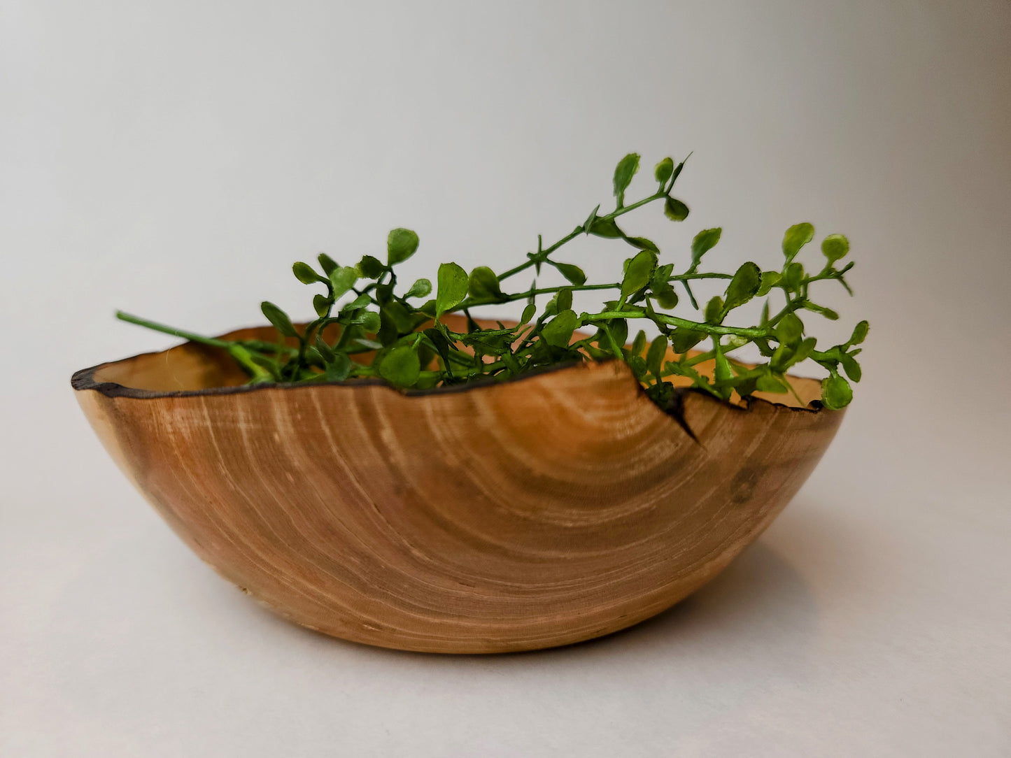 Feliciana Wild Cherry Bowl with burned rim