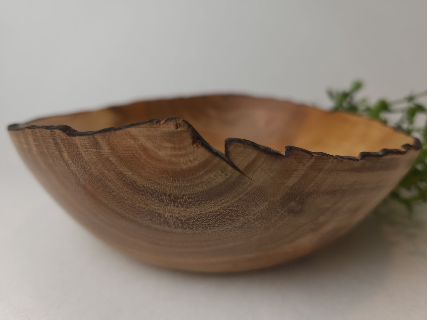 Feliciana Wild Cherry Bowl with burned rim