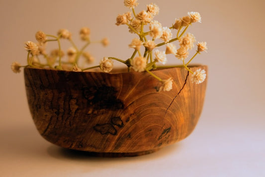 Seymour Elm Bowl 2