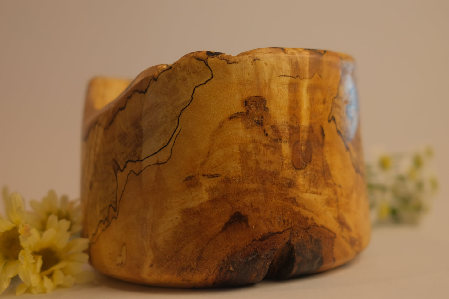 Feliciana Avalon Oak Pot