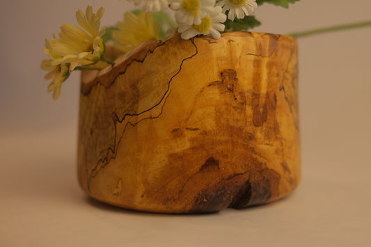Feliciana Avalon Oak Pot
