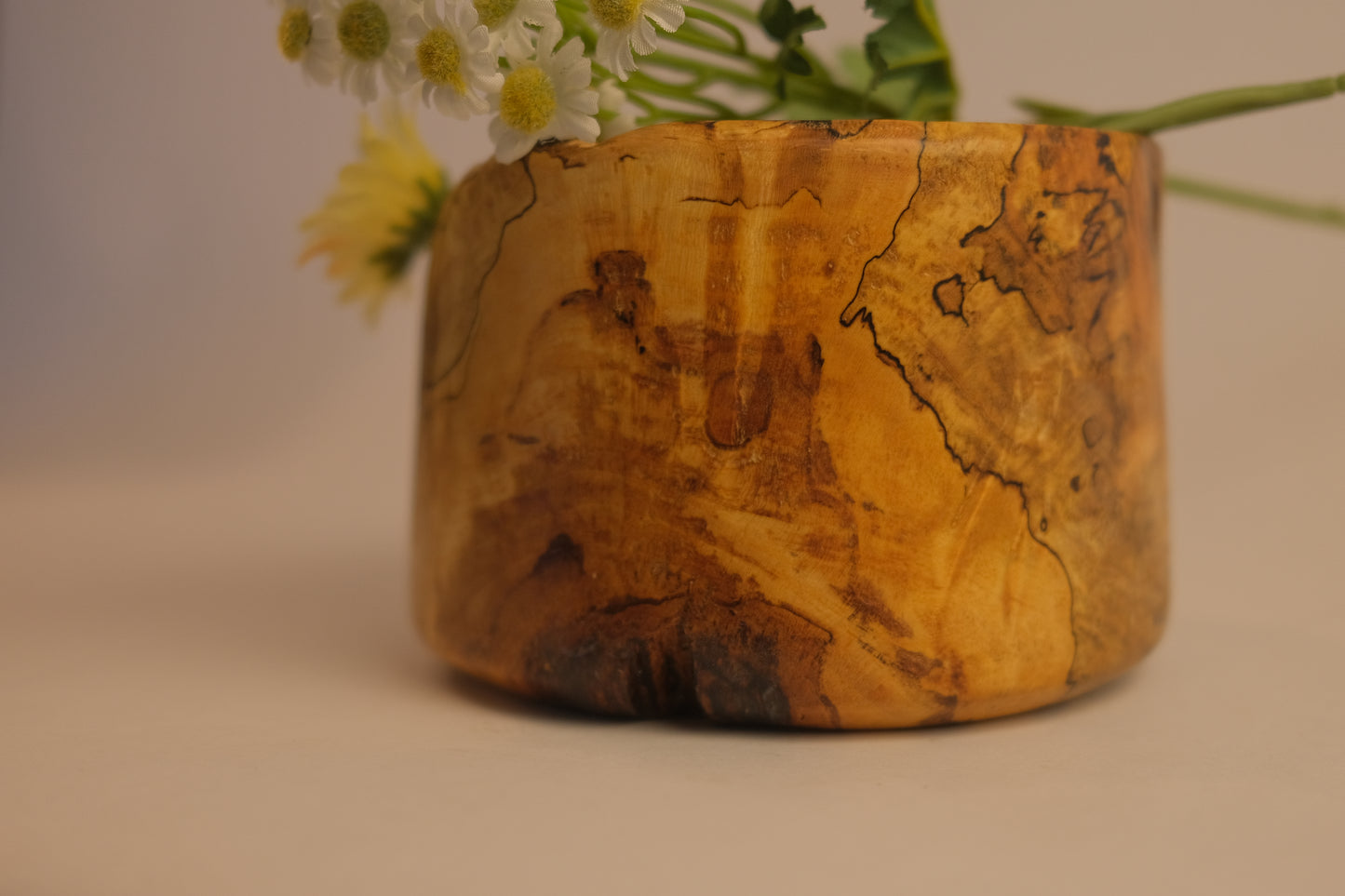 Feliciana Avalon Oak Pot