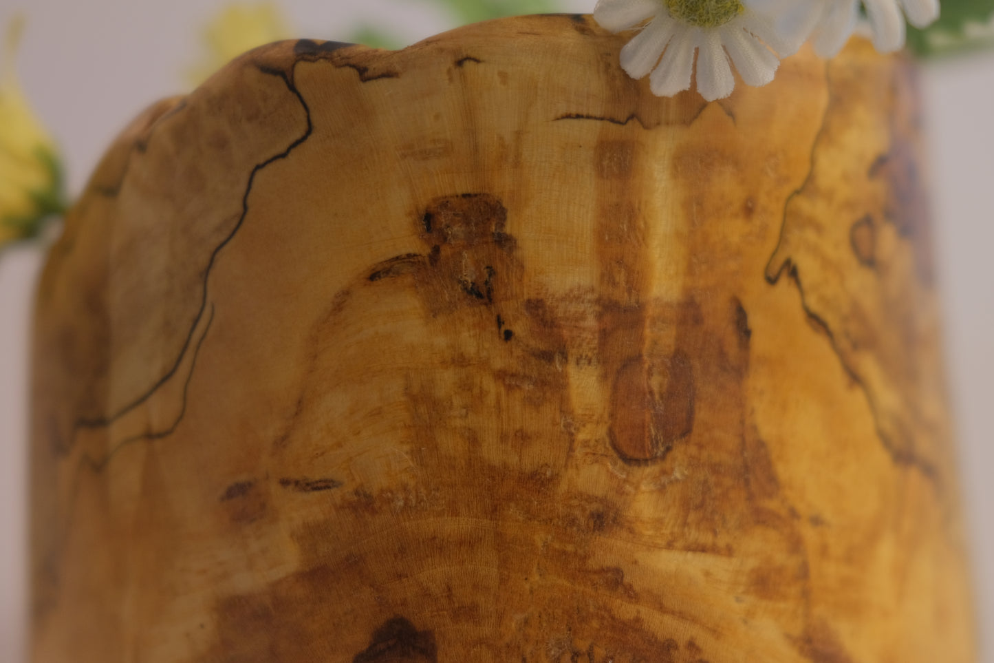 Feliciana Avalon Oak Pot