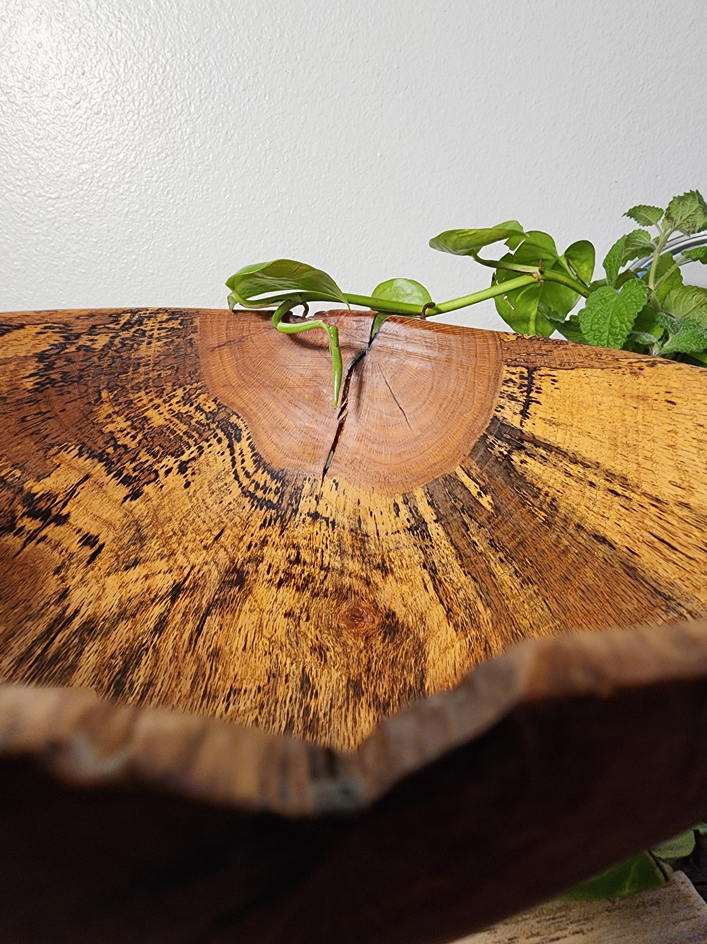 Spalted Oak Centerpiece