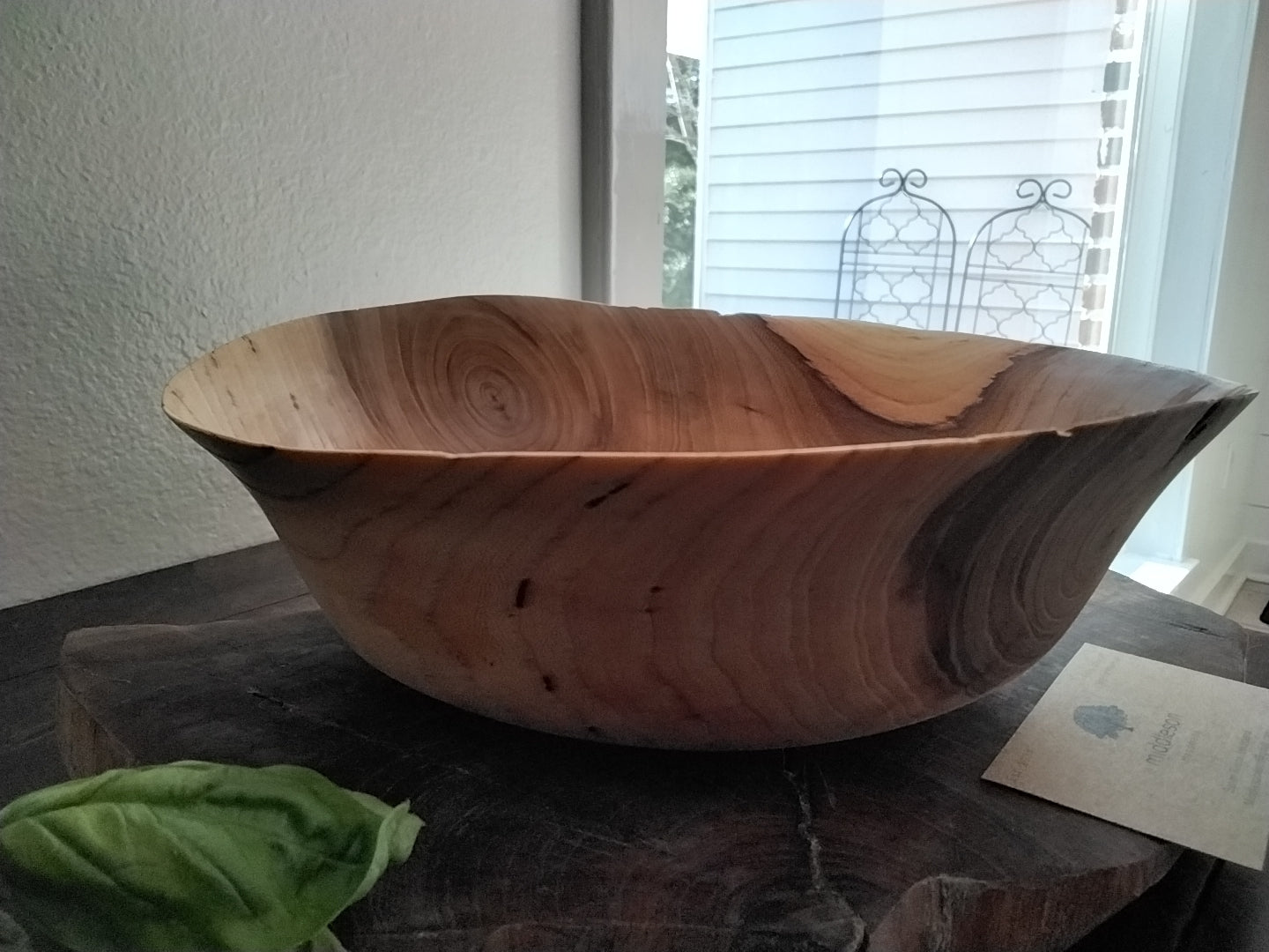 Elm salad bowl