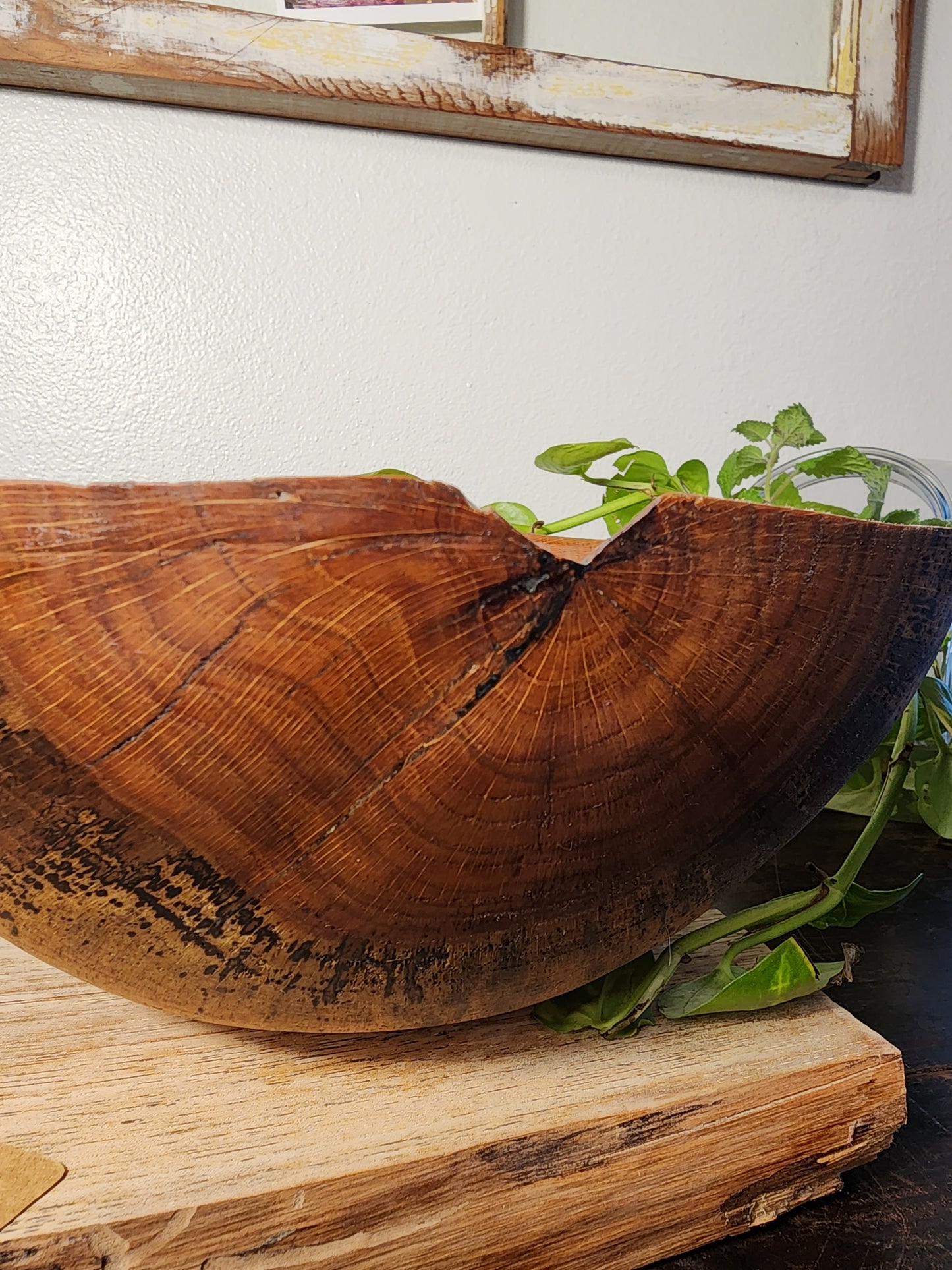 Spalted Oak Centerpiece