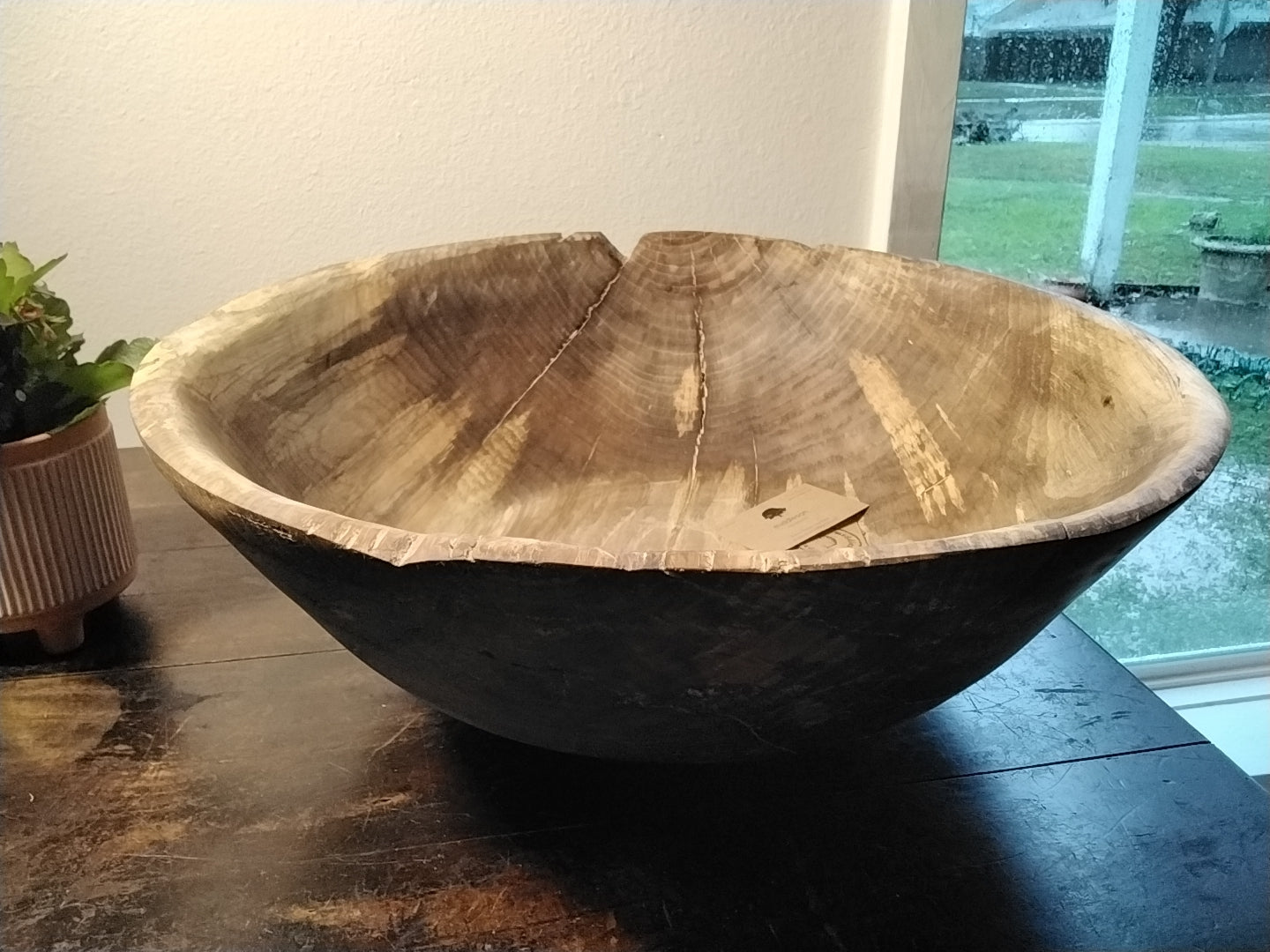 Elm centerpiece