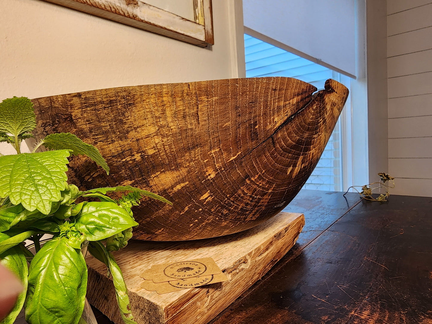 Kenilworth Elm Centerpiece