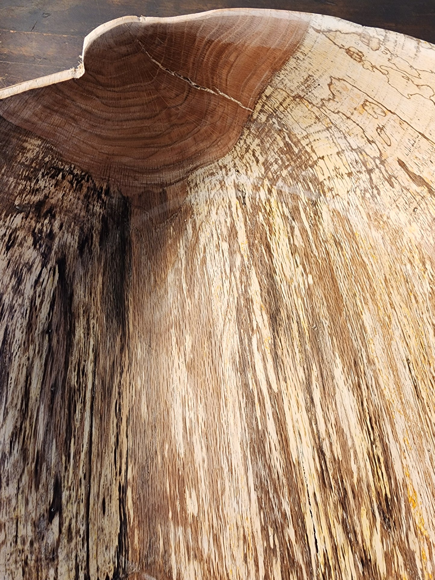 Spalted Oak Bow tie 1